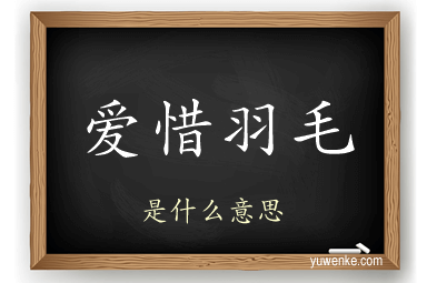 爱惜羽毛