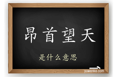 昂首望天