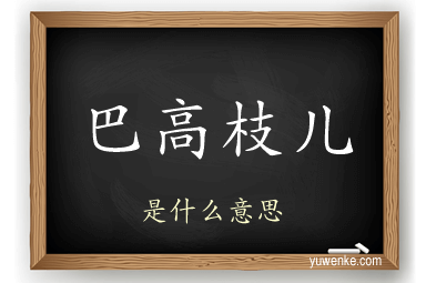 巴高枝儿