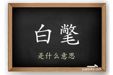 白氅
