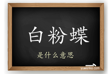 白粉蝶