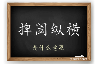 捭阖纵横