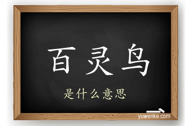 百灵鸟