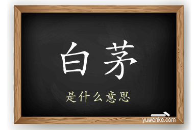 白茅