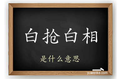 白抢白相