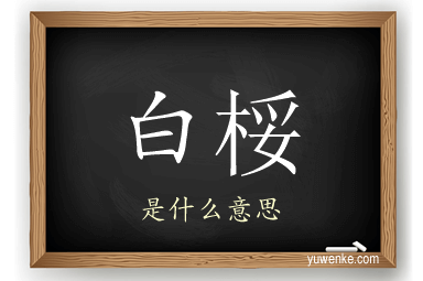 白桵