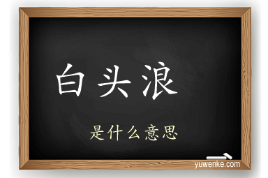 白头浪 