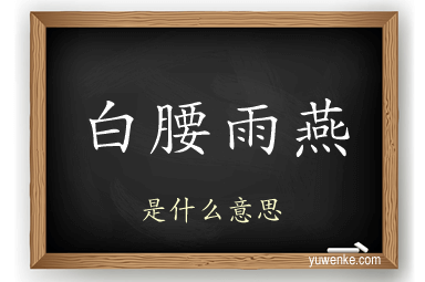 白腰雨燕