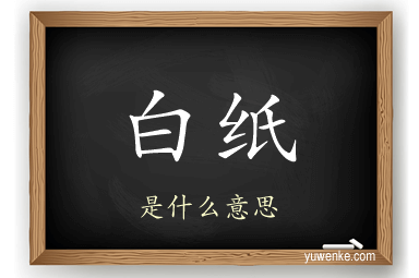 白纸