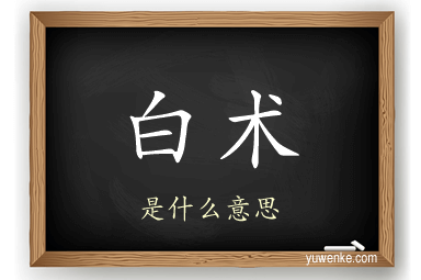 白术