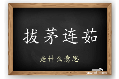 拔茅连茹