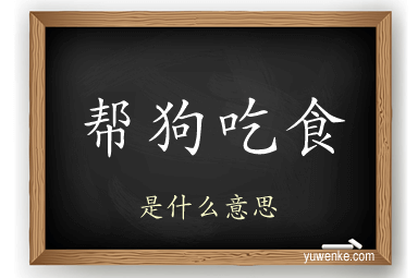 帮狗吃食