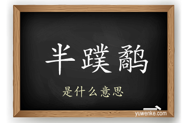 半蹼鹬