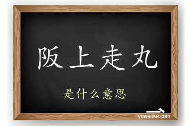 阪上走丸