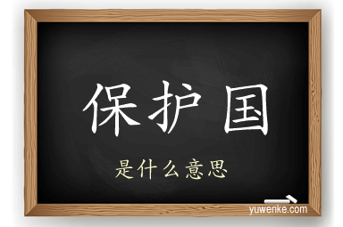 保护国