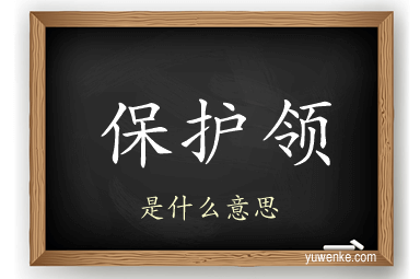 保护领