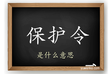 保护令