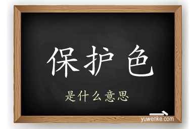 保护色
