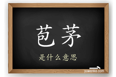 苞茅