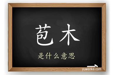 苞木