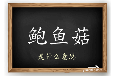 鲍鱼菇