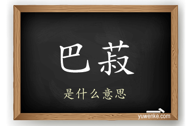 巴菽