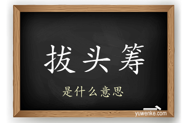拔头筹