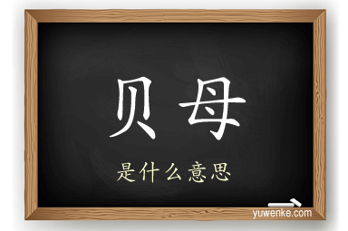贝母