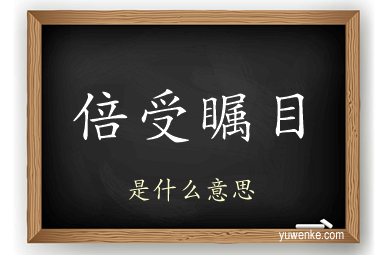 倍受瞩目