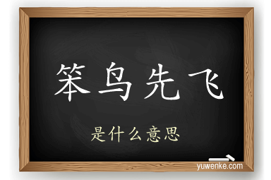 笨鸟先飞