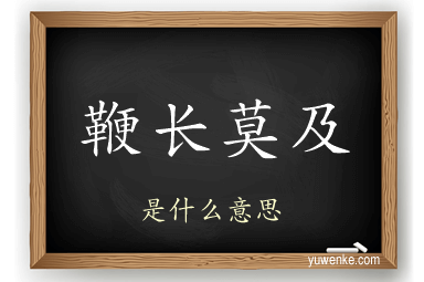 鞭长莫及