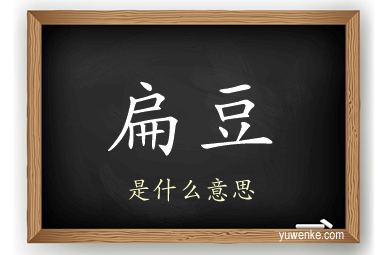 扁豆