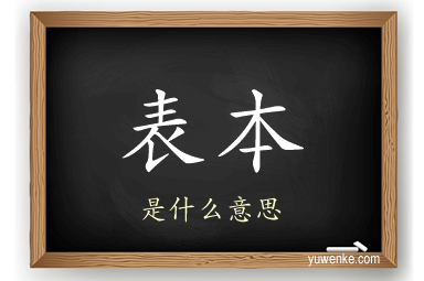 表本