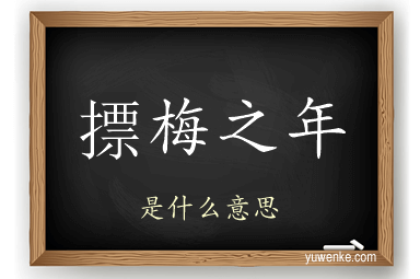 摽梅之年