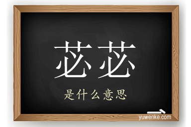 苾苾