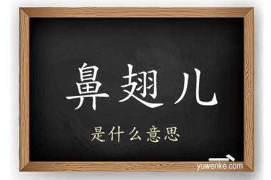 鼻翅儿