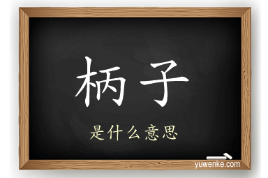 柄子
