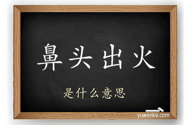 鼻头出火