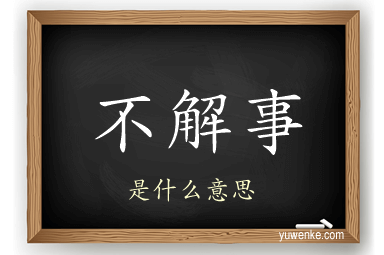 不解事