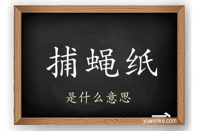 捕蝇纸