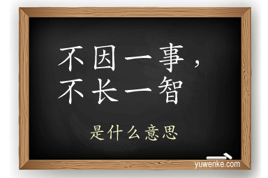 不因一事，不长一智