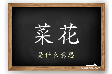 菜花