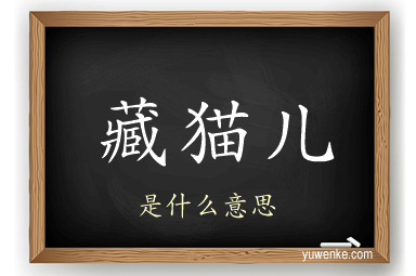 藏猫儿