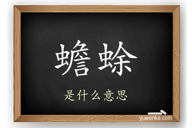 蟾蜍