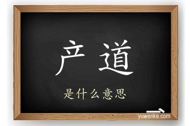 产道