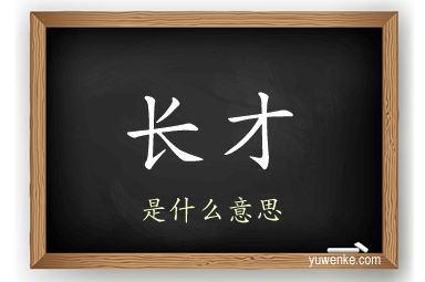 长才