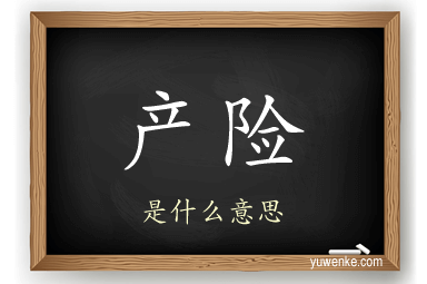 产险