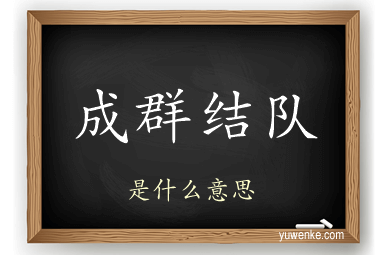 成群结队