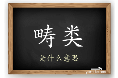 畴类