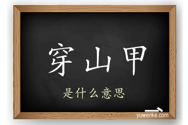 穿山甲